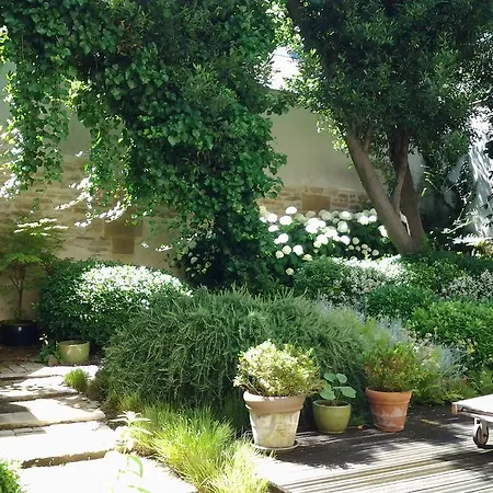 Le Jardin Tourny Daire *